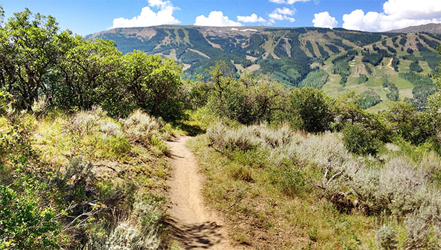 8 Best Mountain Bike Rides In Colorado 4 rim trail loop colorado