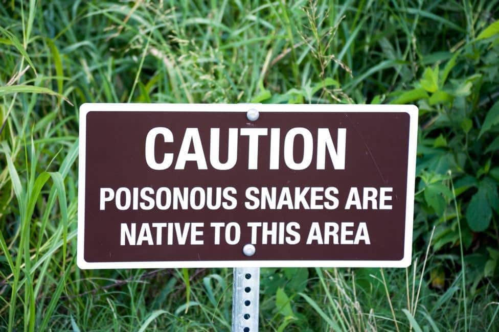 poisonous snake sign snake warning sign